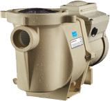 Intelliflo Variable Speed Pump