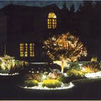 Shrub Lighting